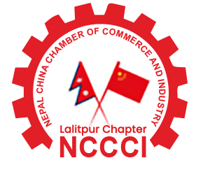 NCCCI logo
