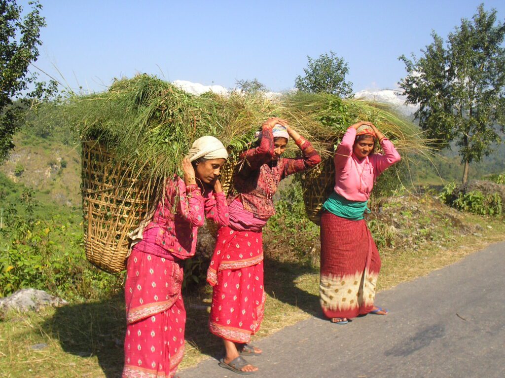 How to Wear Nepali Dress